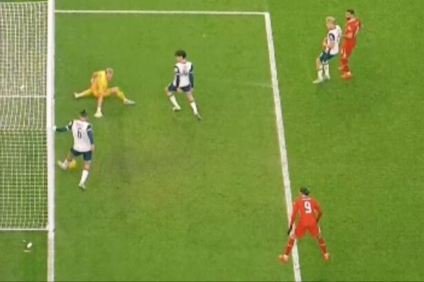 galerie foto zidul dragusin interventie colosala in victoria lui tottenham cu liverpool incredibil cat de bine 677efa084dcca