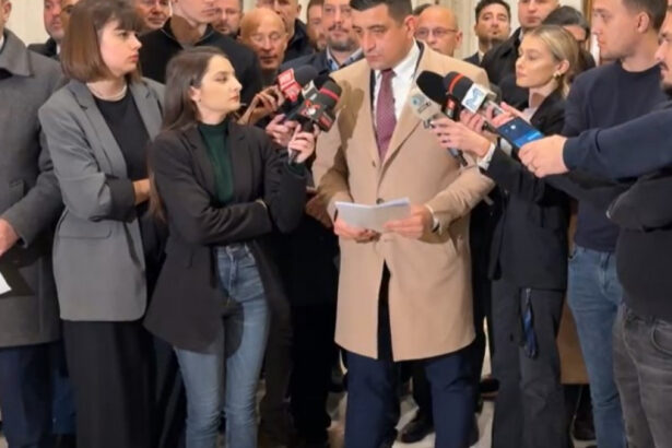 george simion despre protestul din fata parlamentului nu il sustinem pe domnul georgescu noi sustinem dreptul romanilor 6780f8061befc