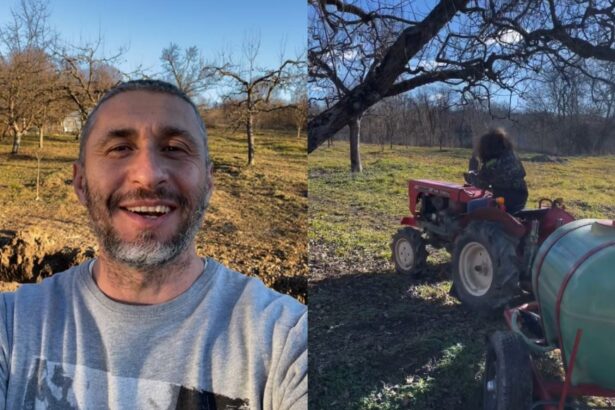 imagini cu livada de la sat a lui dragos bucur si a danei nalbaru l au implicat pe kadri fiul lor care nu merge la scoala in treburile gospodariei 677d372596550