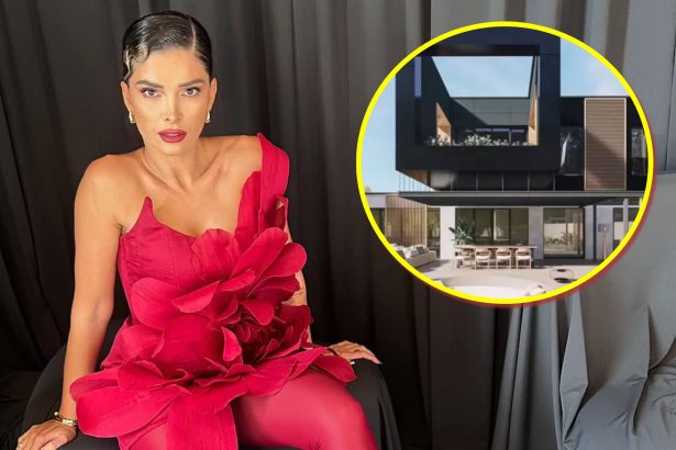 imagini din casa de lux in care locuieste alina puscas doar in filme mai vezi asa ceva 6798bffeb922e