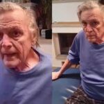 imagini emotionante cu florin piersic fanii actorului revoltati dupa ce au vazut filmarea cu maestrul chiar va bateti joc de el video 6777d88971cc8