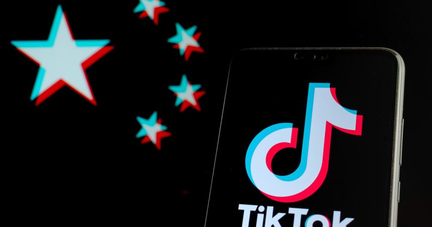 in ce conditii ar putea fi inchise platformele x si tiktok in uniunea europeana explicatiile comisiei europene 6789276ec001f