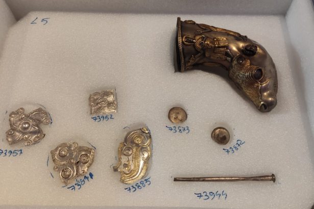 jaful din olanda muzeul national de istorie a romaniei a trimis o echipa la drents pentru verificarea si readucerea in tara a bunurilor culturale toate piesele au fost asigurate 67997316ed427