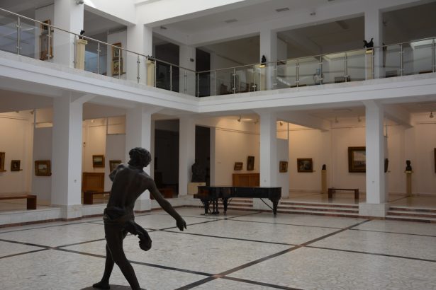 la muzeul de arta constanta accesul este gratuit pe 24 ianuarie 6792e9d954848