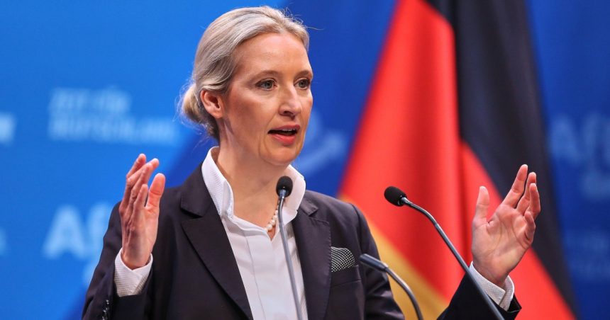 lidera afd promoveaza conceptul de remigratie pentru deportarea migrantilor inainte de alegerile anticipate din germania 67854802a24a4