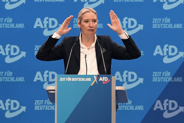 lidera extremei drepte germane cere inchiderea imediata a granitelor tarii dupa atacul din aschaffenburg 67924922afae0