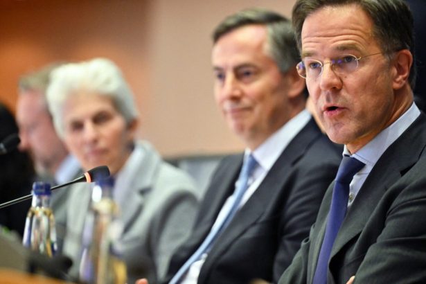 mark rutte cere tarilor nato sa investeasca o mica parte din bugetele pentru pensii sanatate sau asistenta sociala in aparare 67858ad01a0f0