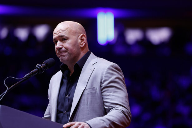 meta compania mama a facebook l a ales pe dana white un apropiat al lui donald trump in consiliul sau de administratie 677d07971deb8