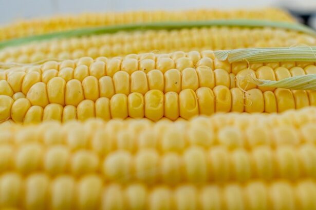 mexicul a pierdut disputa comerciala cu sua si va trebui sa accepte porumbul modificat genetic 677eb8dcb48e4