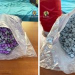 Mii de pastile de ecstasy ascunse în punga cu mâncarea câinelui: Marfa provenea direct din Olanda 3 mii de pastile de ecstasy ascunse in punga cu mancarea catelului marfa era adusa direct din olanda 679d045c680a9