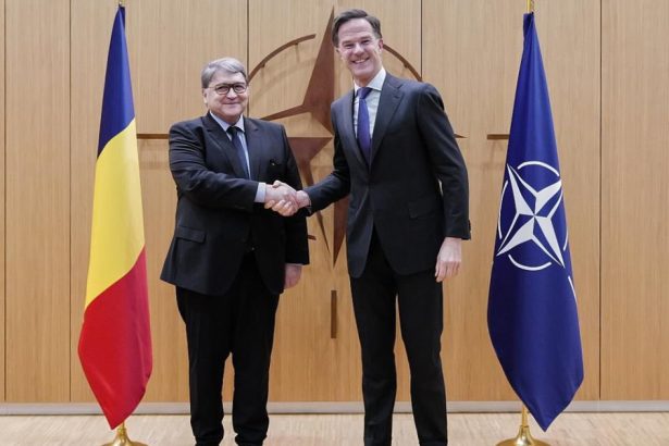 ministrul de externe a avut o intrevedere cu secretarul general al nato mark rutte discutii despre actiunile maligne ale rusiei 67992aea8e222