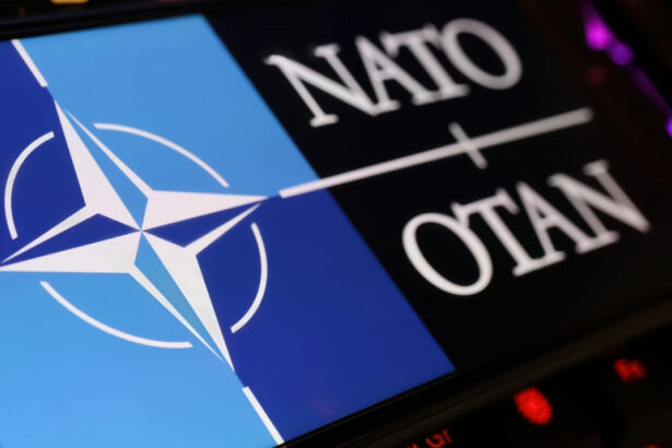 nato a preluat de la statele unite apararea aeriana din polonia inaintea investirii lui trump 678145e9383ae
