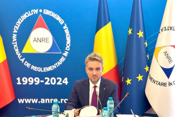 niculescu anre nu crede in eficienta fuziunilor institutiilor guvernamentale alte tari care au comasat institutii de reglementare au revenit asupra deciziei 679cb44287c8c