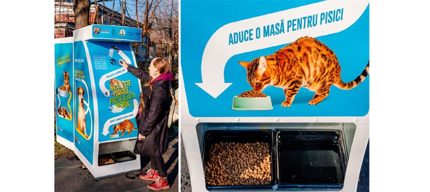 noua idee de reciclare care ar putea hrani pisicile fara stapan are deja succes in capitala 678a966053292