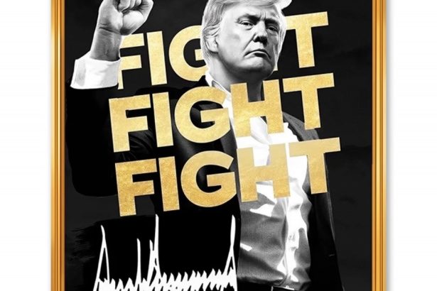 noul meu meme oficial trump este aici ce valoare a atins criptomoneda lansata de donald trump inainte de investire 678c1c7029eb2