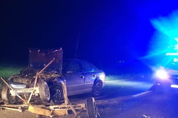 noutati in cazul accidentului rutier mortal din cobadin faceau intrecere cu carutele pe carosabil a iesit scandal intre rudele decedatilor jandarmii au fost prezenti la fata locului 677cda0904dc2