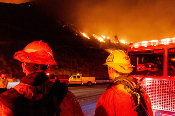 nu mai puteam scoate niciun strop pompierii din los angeles descriu lupta cu incendiile devastatoare in plina criza de apa 6780ed8ceeb03