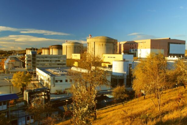 nuclearelectrica organizeaza saptamana viitoare o licitatie de 178 milioane lei ce vizeaza aceasta 677e102e1a6e2