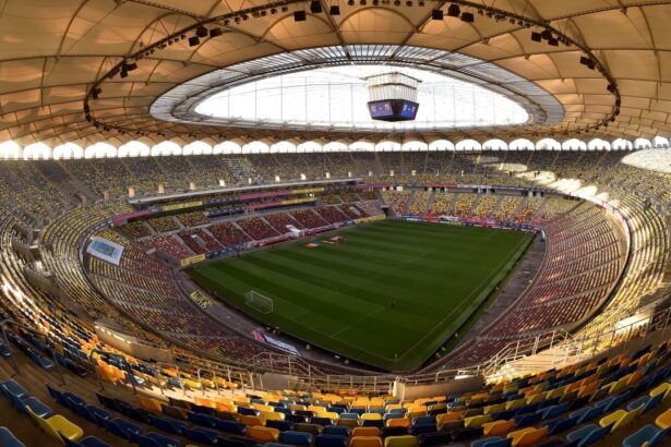 oficial nicusor dan a dezvaluit cati bani a produs arena nationala in 2024 6782504acec1b