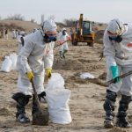 pata de petrol din stramtoarea kerci a ajuns pe coasta marii azov 6782c487bfe38