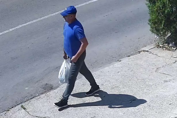 politia solicita ajutorul cetatenilor pentru identificarea barbatului care a tras focuri de arma intr o curte din constanta in vara anului trecut 6787c096b0f12