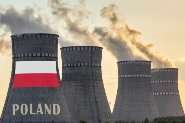 polonia mai aproba o finantare pentru construirea primei sale centrale nucleare cati bani vor fi investiti 677e3cb2c873c
