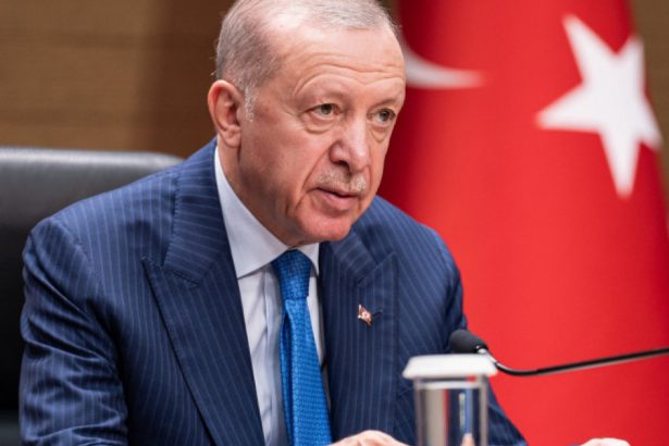 presedintele erdogan saluta progresele semnificative in dialogul cu pkk contactele stabilite au fost productive 6787eaed1d599