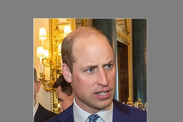 printul william regele marii britanii papa francisc si regele spaniei dati in judecata la constanta 678789e89d49d