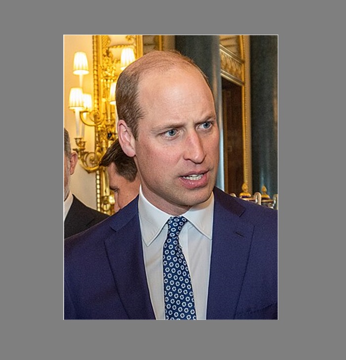 printul william regele marii britanii papa francisc si regele spaniei dati in judecata la constanta 678789e89d49d