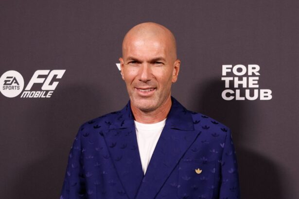 rasturnare de situatie un francez important sustine ca zidane n ar fi succesorul lui deschamps care e explicatia 677ea5f297653