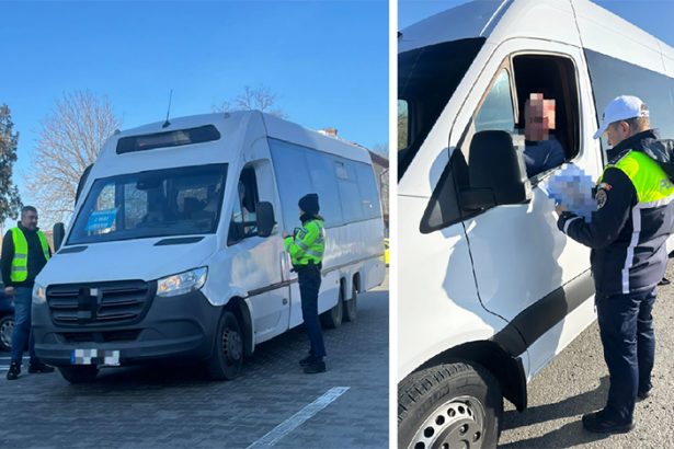 razii la transportatorii de persoane din mangalia medgidia si horia ce au descoperit politistii 678f72e59cf29
