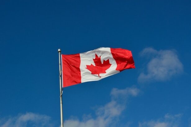 reactia liderilor politici din canada dupa amenintarile de anexare a tarii proferate de trump nu mai spune prostii donald 677e87a91ee89