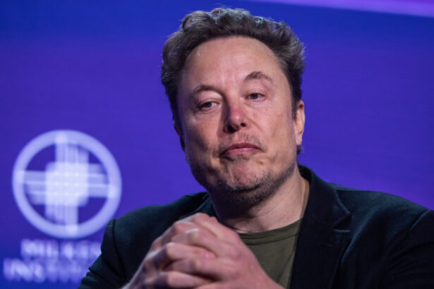 reactie dura a berlinului dupa ce elon musk a spus ca sustine extrema dreapta germana jos mainile de pe democratia noastra 6778469040571