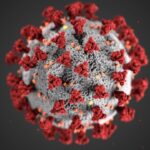 romania confirma doua cazuri de metapneumovirus uman 678143372e356