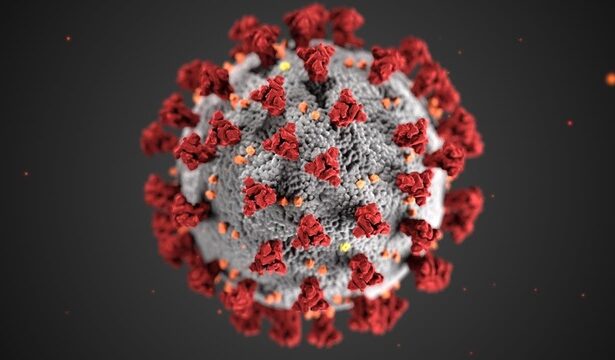 romania confirma doua cazuri de metapneumovirus uman 678143372e356