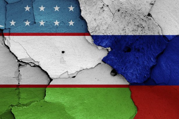rusia continua seria parteneriatelor strategice acordul semnat intre moscova si taskent 6790db9f7f9dd
