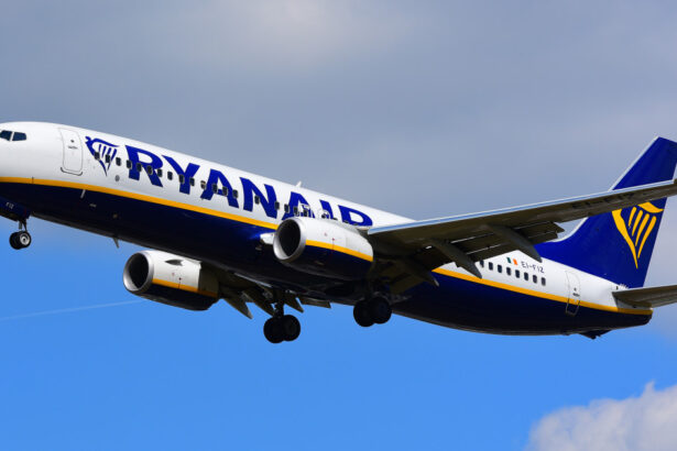 ryanair da in judecata un pasager recalcitrant care a provocat o aterizare de urgenta ce despagubiri solicita 677e951ca5f95