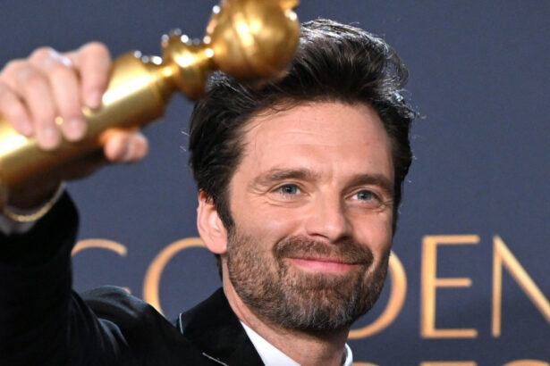 sebastian stan actorul de la hollywood care nu uita sa fie mandru ca e roman trebuie sa ii multumesc mamei 677b99e90acd7