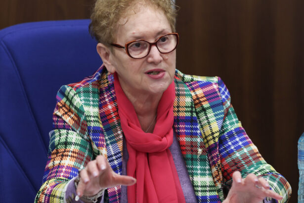 sindicalistii cartel alfa si aur au cerut avocatului poporului sa atace la ccr ordonanta trenulet a anuntat renate weber 677eb0cb71e70