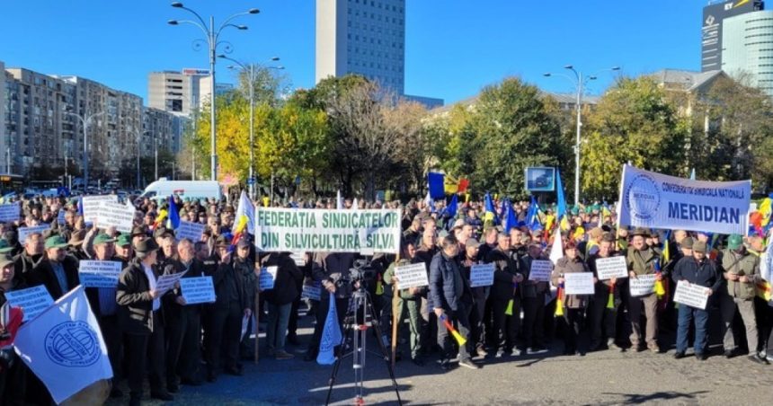 sindicalistii cer abrogarea ordonantei austeritatii protest in piata victoriei incepand cu ora 13 00 posibile restrictii de trafic 67934a2fd4c96