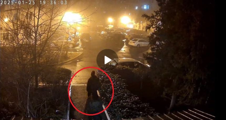 Spargere în Constanța: O constănțeancă solicită ajutorul după ce hoții au pătruns în locuința ei prin geamul de la bucătărie 1 spargere in constanta o constanteanca cere ajutorul dupa ce hotii i au intrat in casa pe geamul de la bucatarie 6795f56376bf1