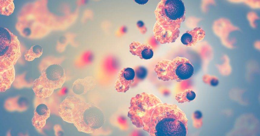 studiu ingrijorator oamenii de stiinta spun ca au descoperit cauza inmultirii inexplicabile a cazurilor de cancer 6783941492bbc