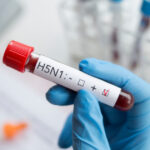 SUA anunță primul deces provocat de gripa aviară. „Este un virus urât pe care nimeni nu vrea să-l aibă” 2 sua anunta primul deces din cauza gripei aviare este un virus urat pe care nimeni nu vrea sa l aiba 677d036ee6e22