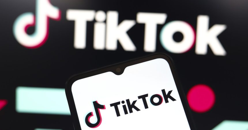 tiktok avertizeaza asupra consecintelor ample daca curtea suprema a sua permite interzicerea aplicatiei in sua 678374440d26c