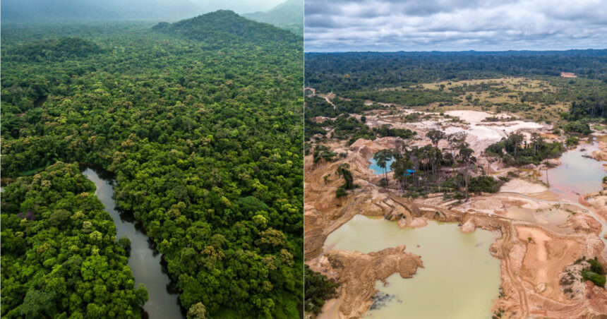 Traficanți de droguri, mineri ilegali și disidenți: Alianța din inima Amazonului care distruge cea mai mare pădure tropicală 1 traficanti de droguri mineri ilegali si disidenti tripla alianta din inima amazonului care devasteaza cea mai mare padure tropicala 677cb992e89b9