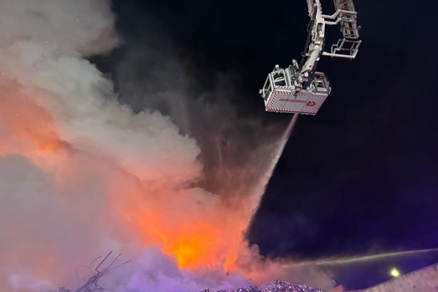 tragedie la o ferma 5 000 de porci au pierit intr un incendiu devastator 67863173394c0