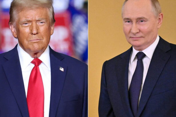 trump despre opozitia rusiei fata de aderarea ucrainei la nato as putea intelege sentimentele lor in aceasta privinta 677e276f40b36