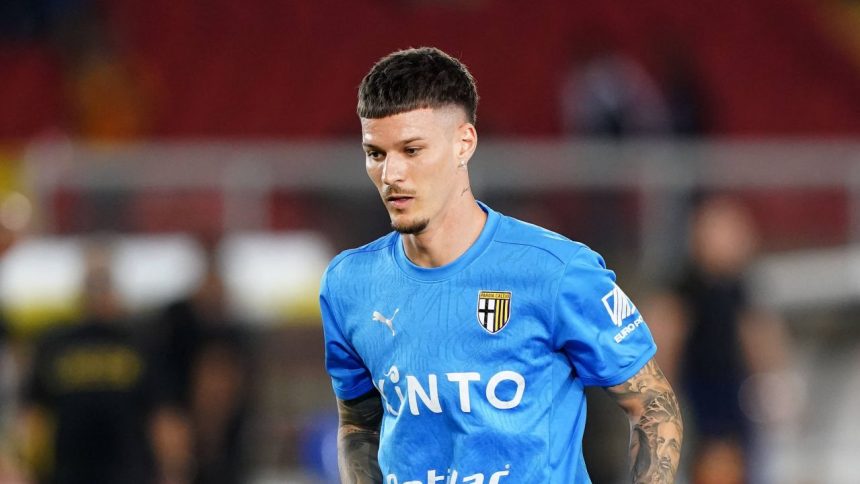 ultimele informatii despre transferul lui dennis man la fiorentina 679117225312f