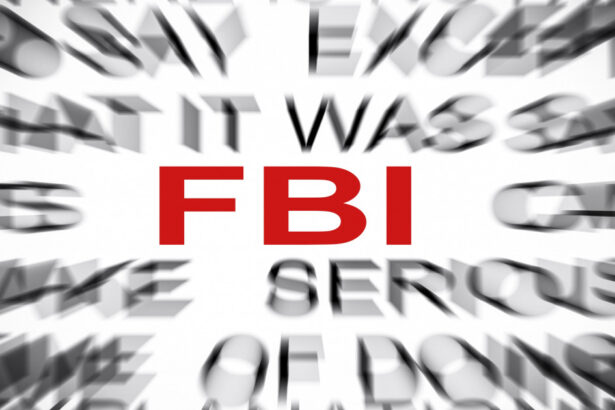 un fost informator al fbi a fabricat acuzatii false despre joe biden si fiul sau ce pedeapsa a primit acesta 677f8e7511659