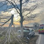 un sofer din tulcea a salvat un caine de la moarte dar a ajuns el la spital 6788bbc91a39f